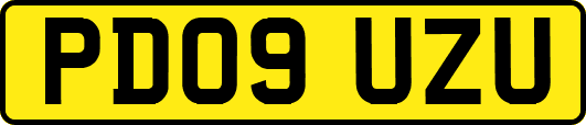PD09UZU