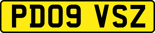 PD09VSZ