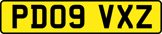 PD09VXZ