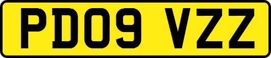 PD09VZZ