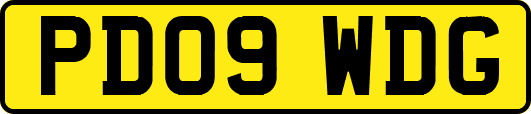 PD09WDG