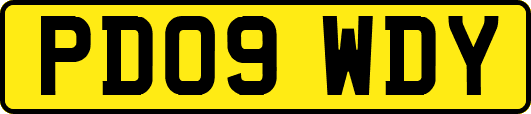 PD09WDY