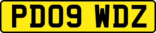 PD09WDZ