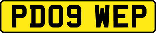 PD09WEP