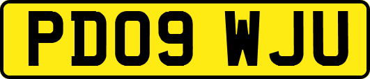 PD09WJU