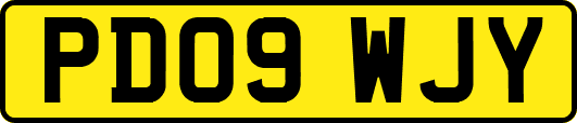 PD09WJY