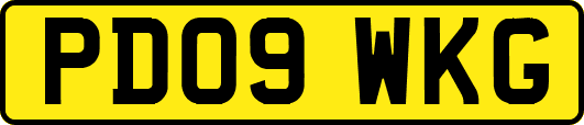 PD09WKG