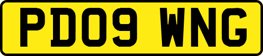 PD09WNG