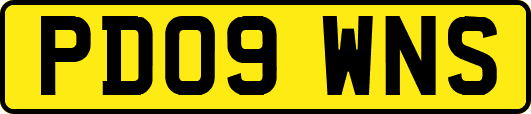 PD09WNS