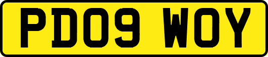 PD09WOY