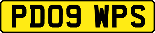 PD09WPS