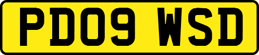 PD09WSD
