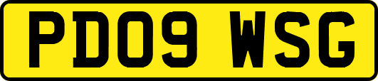 PD09WSG