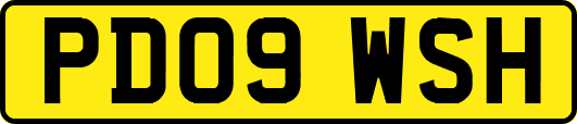 PD09WSH