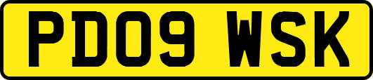 PD09WSK