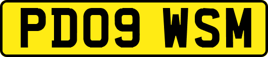 PD09WSM