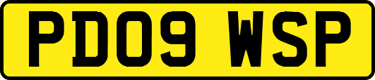 PD09WSP