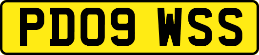 PD09WSS