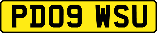 PD09WSU
