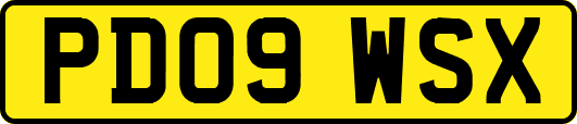 PD09WSX