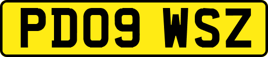 PD09WSZ