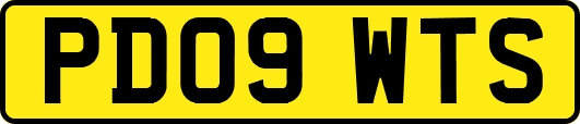 PD09WTS