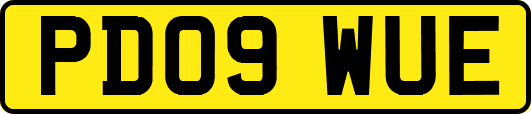 PD09WUE
