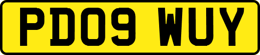 PD09WUY