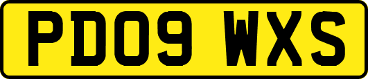 PD09WXS