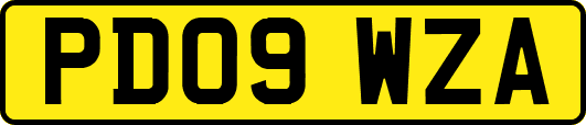 PD09WZA