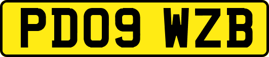 PD09WZB