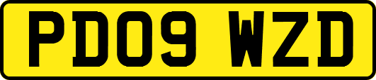 PD09WZD