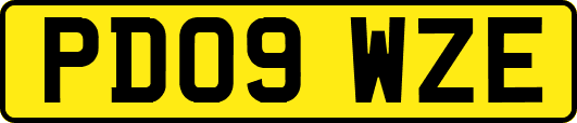 PD09WZE