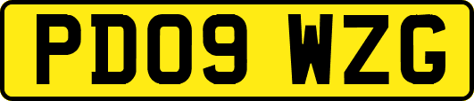 PD09WZG