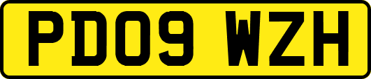 PD09WZH