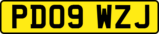 PD09WZJ