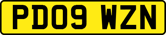 PD09WZN