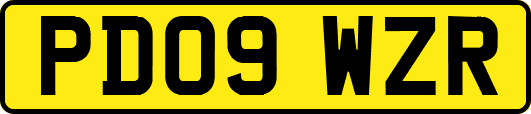 PD09WZR