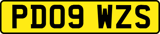 PD09WZS