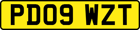 PD09WZT