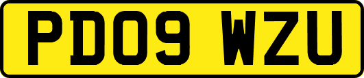 PD09WZU