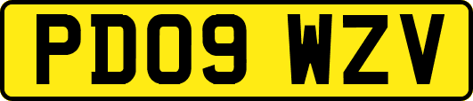 PD09WZV