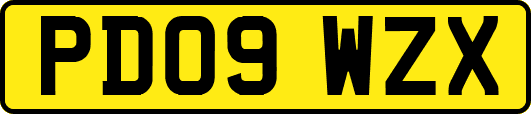 PD09WZX