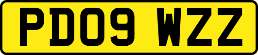 PD09WZZ