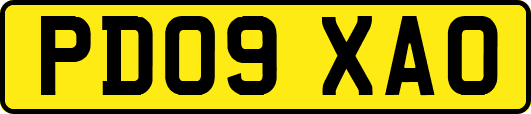 PD09XAO