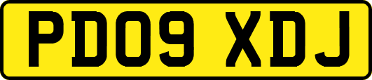 PD09XDJ