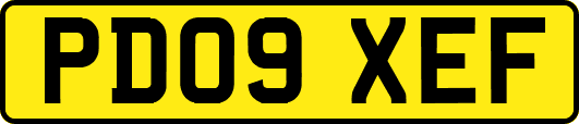 PD09XEF