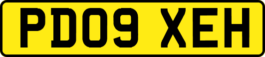 PD09XEH