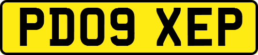 PD09XEP