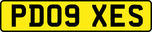 PD09XES